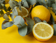 Load image into Gallery viewer, EcoLux Eucalyptus & Vetiver