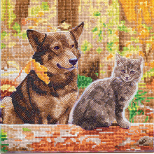 Load image into Gallery viewer, Crystal Art 12" Canvas Kit-Cat & Dog into the Woods