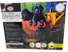 Load image into Gallery viewer, Crystal Art Kit XL - Black Lab
