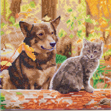 Load image into Gallery viewer, Crystal Art 12&quot; Canvas Kit-Cat &amp; Dog into the Woods
