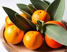 Load image into Gallery viewer, EcoLux Citrus &amp; Sage
