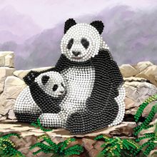 Load image into Gallery viewer, Crystal Art Card Kit - Panda
