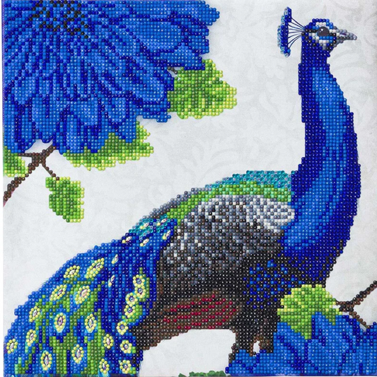 Crystal Art 12"Canvas Kit-Flowering Peacock