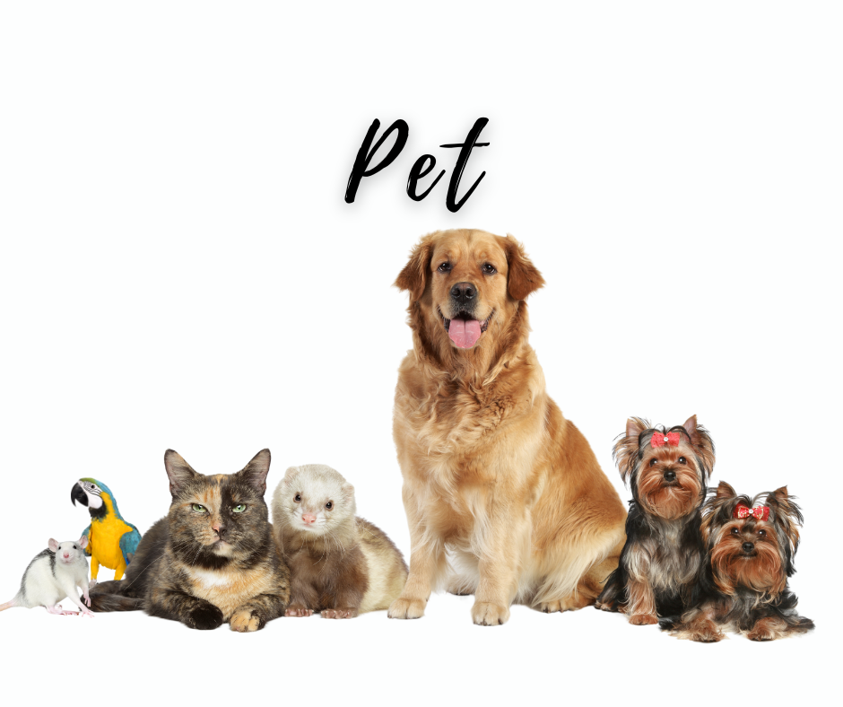 Sassy & Sentimental Pet Soy Candles