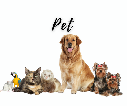 Sassy & Sentimental Pet Soy Candles