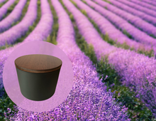 Load image into Gallery viewer, EcoLux 3 Wick Candle
