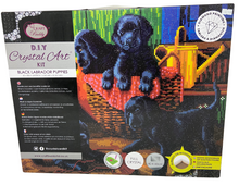 Load image into Gallery viewer, Crystal Art Kit XL - Black Lab
