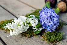 Load image into Gallery viewer, EcoLux 3 Wick Candle
